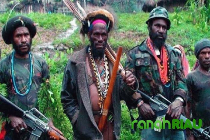 TNI Sebut 12 Tokoh TNPPB-OPM Dilumpuhkan Sepanjang Januari-Mei 2026